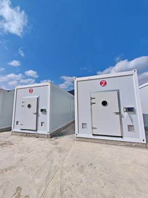 زراعة الفطر