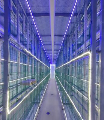 مزرعة حاويات الفطر ذات الصيانة المنخفضة مع مراقبة عن بعد وحاوية قياسية 20 قدمًا أو 40 قدمًا