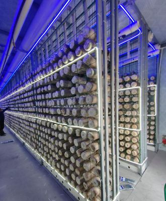 مزرعة حاويات الفطر ذات الصيانة المنخفضة مع مراقبة عن بعد وحاوية قياسية 20 قدمًا أو 40 قدمًا